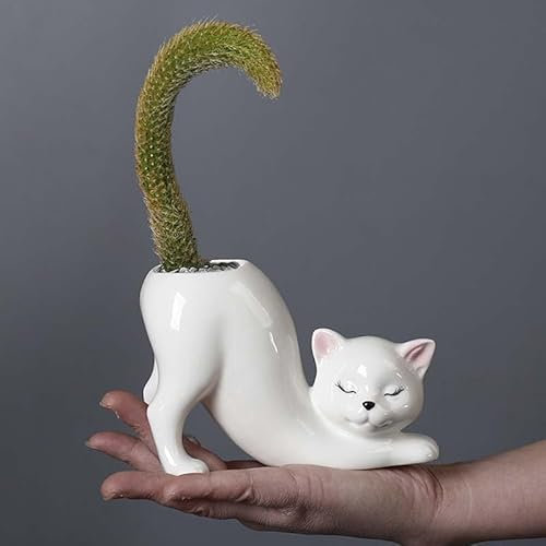 Unique Tailless Cat Little Planter Pot, Cute Kitty Succulent Indoor Flower Pot, Animal Home Decor Plant Pot Holder, Novelty Ceramic Bonsai Flowerpot Ideal Gifts, Lovely Office Desk Room Home Decor