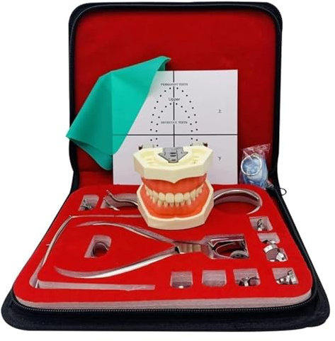 HFDTS Dentales Endodontie-Kofferdam-Set, Übungswerkzeug for Kofferdam-Stanzbretter, for zahnärztliche Werkzeuge, Zahnklammer-Werkzeugsatz, mit 28 Zahnmodell-Positionierungsplattenklemmenrahmen