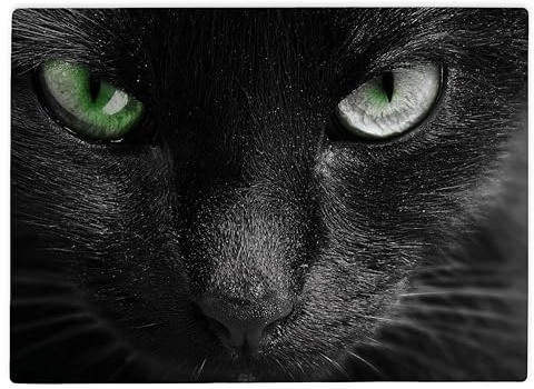 Shopagift Black Cat Face with Green Eyes Glass Chopping Board Large Kitchen Worktop Saver 39cm x 28cm