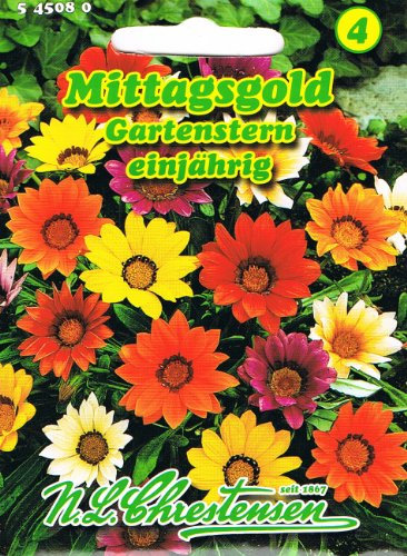 Mittagsgold Gartenstern , einjährig, für Beete, Rabatten, Schalen 'Gazania Hybride' Mittagsblumen