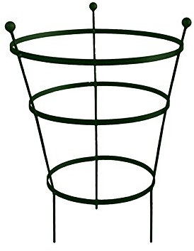 Garden Pride Peony Cage Plant Support - Available in plastic coated or raw steel, designed to rust - Heavy Duty Peony Cage plant Support (62cm Tall - Pack of 2, Plastic Coated in Black)