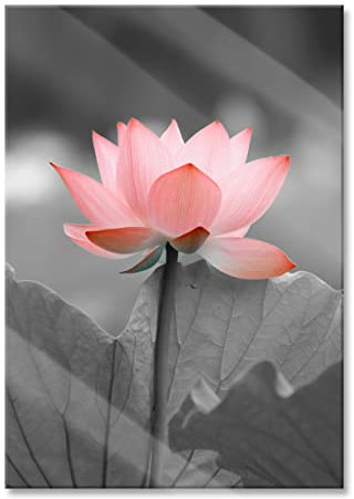 Pixxprint Glasbild, Wandbild aus Echtglas, wunderschöner Lotus, 60x80 cm, inkl. Aufhängung und Abstandshalter