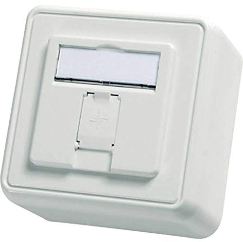 Telegärtner networkdose Aufputz Unbestückt 1 Port Alpin white