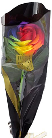 Bodhi2000 Fleur éternelle artificielle écologique pour décoration de bouquet Multicolore