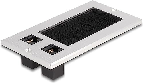 DELOCK Entrada de cables mit Cepillo y 2 x RJ45 Keystone Modular Cat.6 de Aluminium