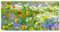 MuchoWow© Gartenposter Groß 200x100 cm XXL Outdoor Bilder Gartendeko für draußen Wetterfest Garten Sichtschutz Zaun Deko Banner Draußen Bild Blumen - Wiese - Farbenfroh - Natur