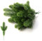 HJHIWE Lot de 60 branches de pin artificielles vertes de 24 cm pour arrangements floraux de Noël, couronnes, décoration de vacances.