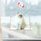 Mkono Cat Window Bed for Indoor Cats, Cat hammock 55×30cm with Suction Cup, Cat Shelves Window Perch Wall-mounted Washable, Holds up to 20kg