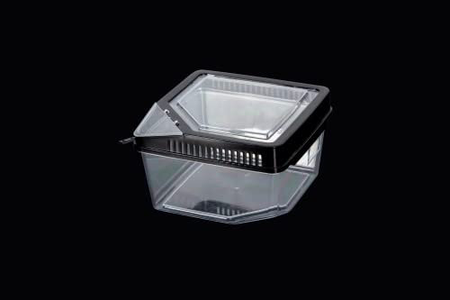 ReptiZoo Kunststoffbox (Terrarium) (17,7x17,7x11cm)(RT2019)