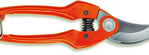 Acesa-Roncolo-P 126-22 1 M