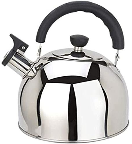 EdirFtra Teteras de Acero Inoxidable Moderno,3L