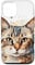 iPhone 12/12 Pro Cat Watercolor Graphic Case
