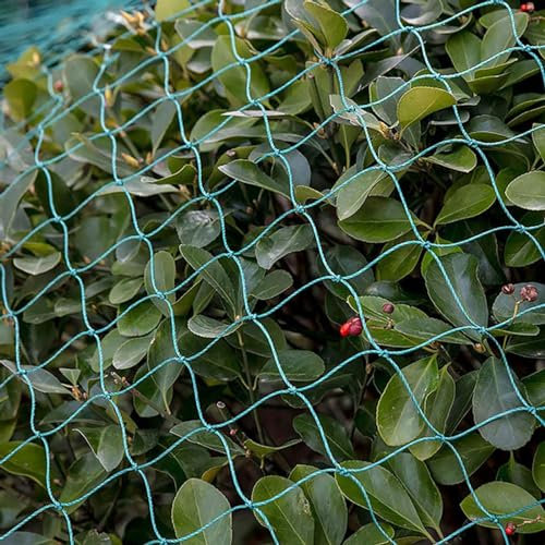 PanHuiWen Netz Feinmaschig Meterware GemüSeschutznetze HüHnernetz Maschenweite 1.5x1.5cm für Obstbäume Garten Balkon Oder Teich,10x15m