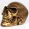 THORNE ANTIQUES AND COLLECTABLES Realistischer menschlicher Totenkopf-Ornament, Gothic, Heimdekoration, 19,5 cm, rustikales antikes Bronze-Finish