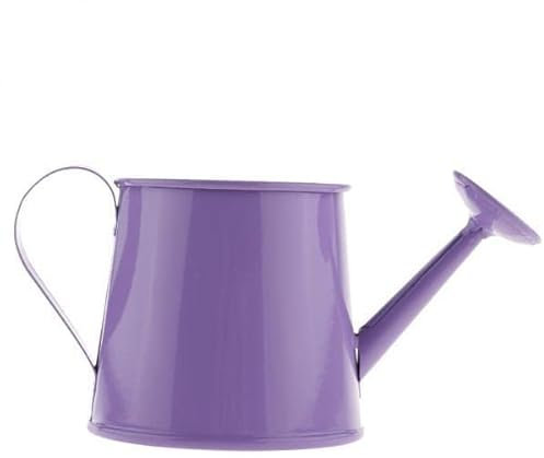 ZAANU Regadera de jardinería 8X, regadera Retro de hojalata, regadera galvanizada