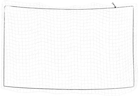 vidaXL Anhängernetz, Hängernetz mit Gummiseil, Abdecknetz für Anhänger, Transportnetz Ladungssicherungsnetz Gepäcknetz, Weiß 3,5x2m PP