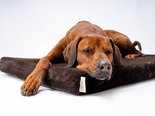 TrendPet VitaMedog - Viskoelastische Matratze Hundebett für Hunde braun 90x65x7 cm