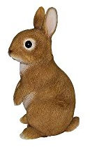 Young Rabbit Real Life Resin Ornament by Vivid Arts