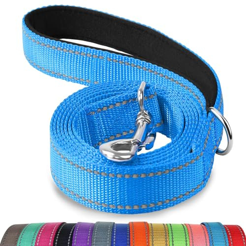 Joytale Padded Handle Dog Lead for Medium & Large Dogs, 1.2m x 2.5cm