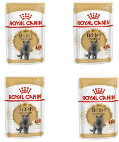 Royal Canin Feline British Shorthair Gravy | 4er Pack | 4 x 12 x 85g | Alleinfuttermittel für ausgewachsene British Schorthair Katzen | Kleine Stückchen in Soße | Ab dem 12. Monat