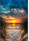 QUIIEOSKIA 5D DIY Diamond Painting Erwachsene, Diamond Painting Kits, Diamond Painting Landschaft für Kinder und Erwachsene Dekorationen - Sonnenuntergang
