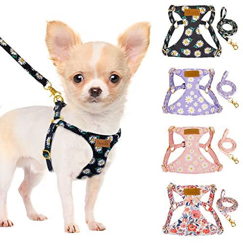 SlowTon Puppy Harness & Leash Set - No Pull Soft Dog Harness for Small Dogs, Adjustable, Vet Recommended, Walking, Running, Training for Puppy XXS Dogs