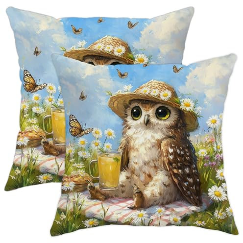 Owl Pillow Covers Set of 2, Adorable Brown Owl with Straw Hat and Butterflies, Cute Spring Decorative Square Cushion Cases for Home Sofa Bed Couch 16x16 Inch