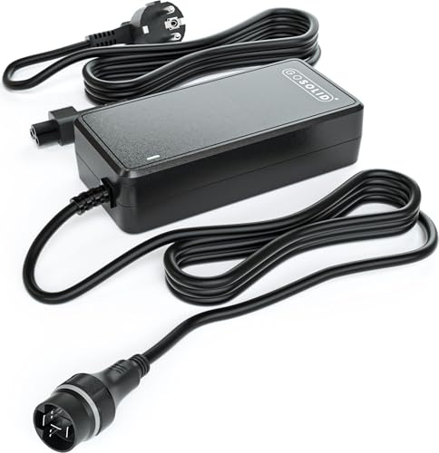 GO SOLID! Chargeur PASC9 compatible avec la batterie Yamaha In-Tube 36V X1R-10