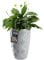 KADAX Pot de Fleurs Haut, Jardinière en Plastique de Grande Taille avec Motif Moderne pour Sublimer Votre Intérieur ou Extérieur, Bac à Fleur (Gris, 48.5 cm)