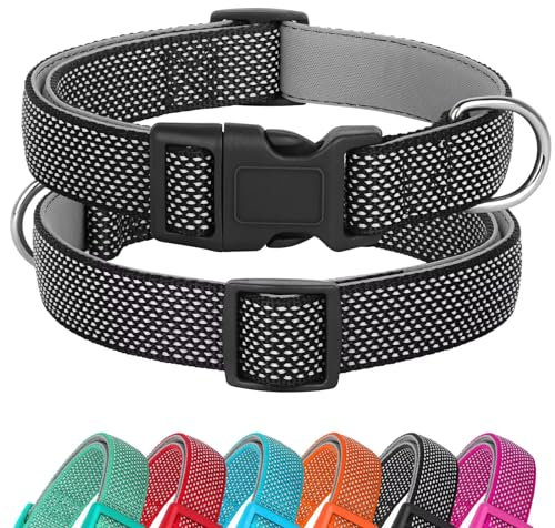 Didog Reflektierendes Hundehalsband mit Schnalle, verstellbar, weiches Neopren, gepolstert, Nylon, Haustierhalsbänder für kleine, mittelgroße und große Hunde, Schwarz, S