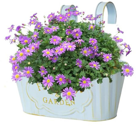 Nlrlo Handrail Planter, Deck Handrail Planter Box - Metal Hangable Deck Planter - Countryside Window Flower Box for Garden Garden Home Decoration Plant Pots