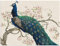 ARTland Wanddeko Wandbild Alu Verbundplatte für Innen & Outdoor Bild 80x60 cm Pfau Kirschblüten Asien Blumen Blüten Tiere Vögel Shabby Chic T2PK
