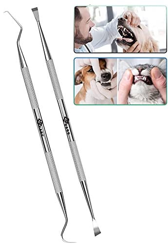 YSCARE Zahnsteinentferner Zahnsteinentferner Hund Zahnreiniger Doppelkopf Zahnpflege Set Dental 2er Professionelle Zahnreinigung Zahnsteinentferner Zahnsonde Scaler Aus Edelstahl Haustierfreundlich