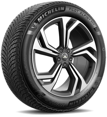 295/40VR20 MICHELIN TL PILOT ALPIN 5 SUV MO1A XL 110V