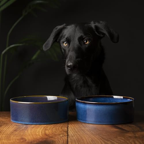Scruffs Ceramic Heavy Duty Reactive Glaze Pet Bowls - 2pc Set - Midnight Blue 19cm