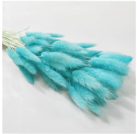 QWFVHJ Trockenblumen, Trockenblumenstrauß, 50 Stück Lagurus Ovatus Kaninchenschwanz-Trockenblumen, natürliche Trockenblumen, Kaninchenschwanz, Gras, Fotografie-Requisiten, Heimdekoration