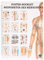 Akupunktur des Menschen Mini-Poster Booklet Anatomie 34x24 cm, 12 Poster