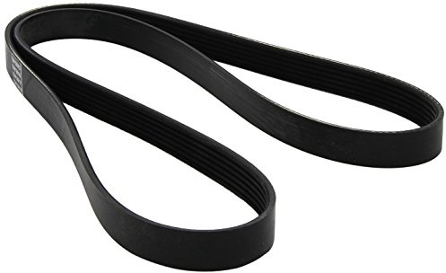 Metzger 6PK1437 DAYCO Keilrippenriemen | 6PK1437 für Berlingo Jumpy Xsara Ducato