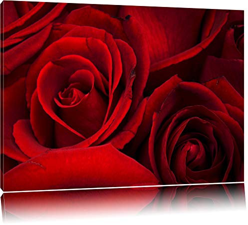 Pixxprint rote Rosen, Größe: 100x70cm, Leinwandbild, fertig gespannt, Wandbild, Dekoration, Kunstdruck, kein Poster