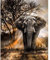 LJHOME 5D Diamond Paint Kits Full Drill, Elephant Crystal Rhinestone Diamond Embroidery Art Pictures, DIY Arts Craft Supply for Adults, Kids, Home, Wall Decor