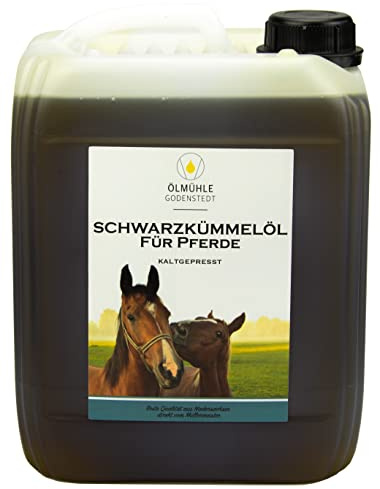 Schwarzkümmelöl für Pferde 5 L | Ohne künstliche Zusätze | Hoher Timochinongehalt, mühlenfrisch gepresstes Futteröl, ohne künstliche Zusätze und in Deutschland hergestellt, 1x Kanister