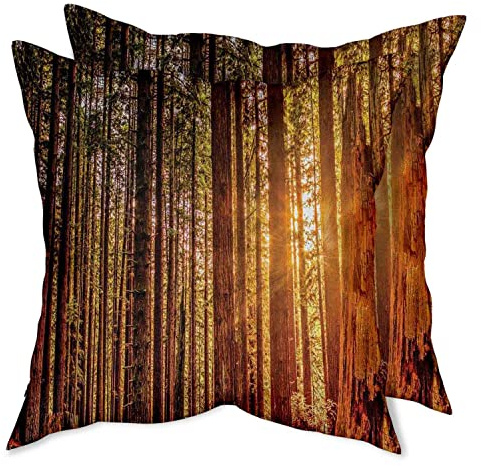 Decorative Throw Pillow Covers 18x18 in Cushion Cases Couch Pillows for Iiving Room,2 Pack, Tall Trees Red Woods Humboldt California Sequoia Picture Orange Dark Brown Green