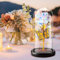 Fohil Ewige Rose für Frauen,Infinity Rosen Geschenk für Muttertag, Schöne das Biest Ewige Bunt Rosen Schmetterling Blume mit LED Licht für Sie,Frauen,Mama,Freundin