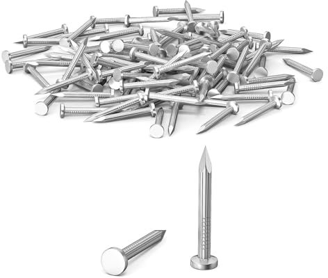 100Pcs 25mm Nails for Wood, Wood Nails, Galvanized Concrete Wall Nail, Masonry Nails, Picture Nails for Carpentry & DIY, Hanging Pictures and Woodworking-Silver