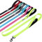 VIVAGLORY Twingrip Führleine Hund, Leine Hund Hausleine Joggingleine, Hundeleine mit 2 Griffen Doppelgriff, Gepolstert Neopren & Reflektierend, 1.5m x 2.5cm, Helles Gelb