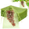 HRX Package 50Pcs Reusable Fruit Protection Bags, 20x30cm Grape Netting Bags with Drawstring Plant Protect Bag Garden Fruit, Nylon Anti-mosquito （Olive Green）