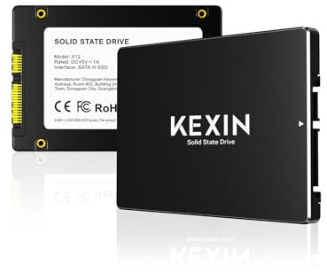KEXIN SSD interno SATA III da 2,5 da 256 GB: fino a 500 MB/s in lettura e 450 MB/s in scrittura, SSD ad alta velocità per laptop e desktop