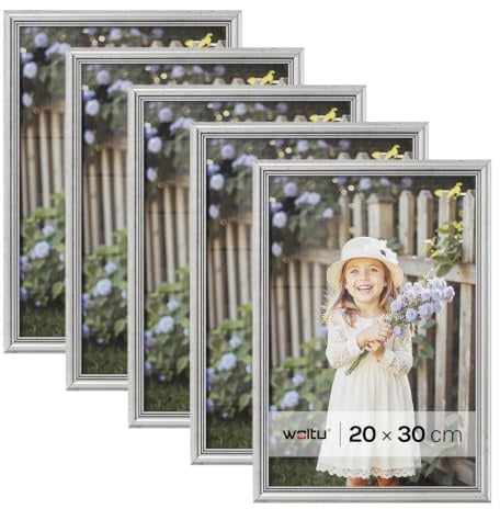 WOLTU Bilderrahmen 20x30, 5er set, Massivholz Fotorahmen mit Passepartout | Silber, Front aus PS-Platte, Posterrahmen zum vertikalen oder horizontalen Aufhängen und Aufstellen, Collage Wanddeko