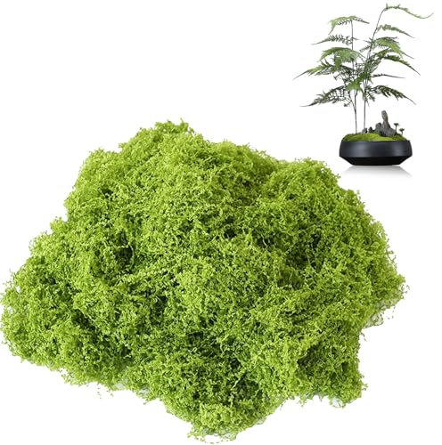 FULHANY 150g Muschio Stabilizzato - Muschio Finto Per Decorazioni - Muschio Finto - Può Essere Utilizzato Per L'Arte Decorativa Del Giardino, La Decorazione Murale E Il Lavoro Fai-Da-Te