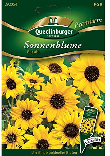 Sonnenblumen, Piccolo
